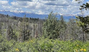 Tbd Nwne DEER HAVEN Road, Bondurant, WY 82922