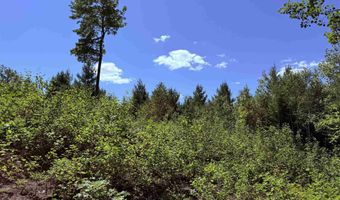 F2 Cave Mountain Road, Bartlett, NH 03812