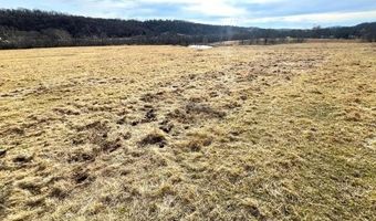 62 Acres N Business 71 Hwy, Anderson, MO 64831