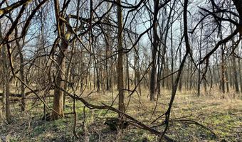 0002 CR-290, Asbury, MO 64832