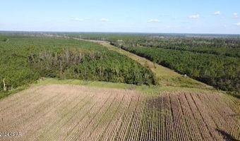 N Sr 71, Altha, FL 32421