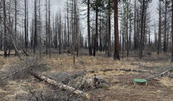 1100 Yellow Pine Rd, Bly, OR 97622