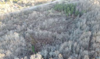 6777 Hwy 207, Anderson, AL 35610