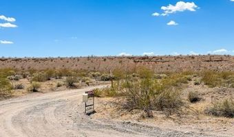 4755 Gold Butte Rd, Bunkerville, NV 89007