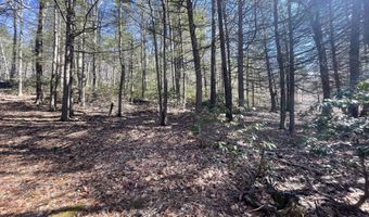 50 Pine Rd, Colebrook, CT 06021