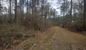 U.S. Highway 51, Bogue Chitto, MS 39629