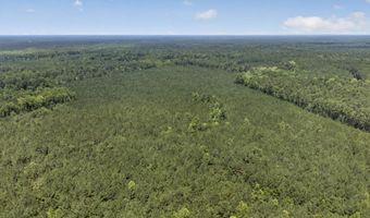 82 Acres Point Caswell Rd, Atkinson, NC 28421