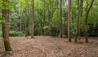 2 9 AC Chestnut Flats Rd, Andrews, NC 28901