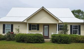 762 Old McLeod Brg, Adrian, GA 31002