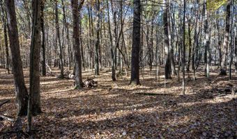 Lot 33 S Badger Lane, Arkdale, WI 54613