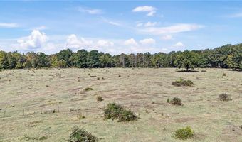SE 12th Street, Atkins, AR 72823