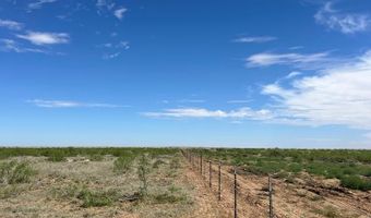 NE 7100, Andrews, TX 79714
