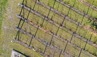 9090 M-68, Alanson, MI 49706