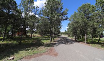112 Ten Pines Rd, Torreon, NM 87061