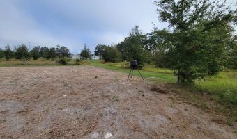 5145 County Road 232, Bell, FL 32619