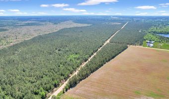 Tract 1 Sanderling, Alma, GA 31510