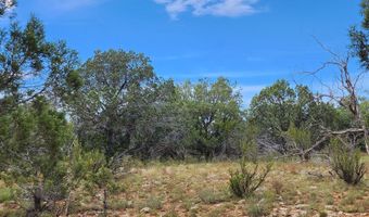 912 Westwood Rnch, Ash Fork, AZ 86320