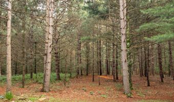 W8540 Duck Creek Lane, Westfield, WI 53964