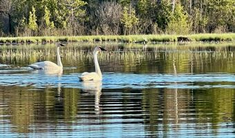 212 Long Rapids Rd, Alpena, MI 49707