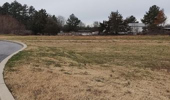 S CENTRAL Avenue lot 2 1118, Laurel, DE 19956