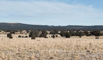 98- C Ten Tanks Rd, Ash Fork, AZ 86320