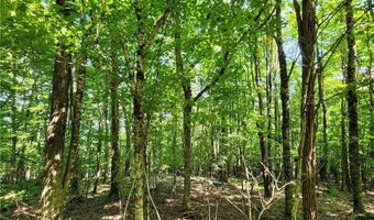 Tbd Old Mountain Road, Banner Elk, NC 28604