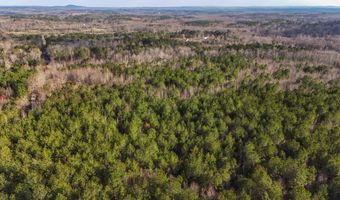 Jacksonville Loop, Tallapoosa, GA 30176