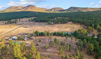 County Road N2144, Alpine, AZ 85920