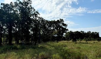 Lot 21 Rains County Rd 2610, Alba, TX 75410