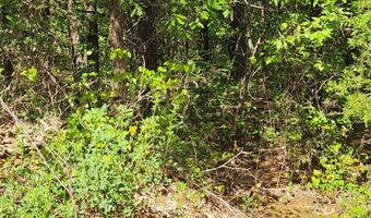 Strawberry Valley Road, Ash Flat, AR 72513