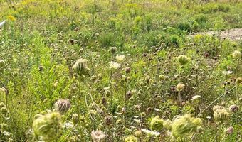 Westerly Ridge Drive lot 4, Amenia, NY 12501