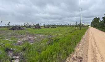 9 219 Ac Rhine Alma GA Rd, Alma, GA 31510