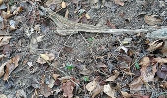 BLACKJACK ROAD lot 0, Argo, AL 35173