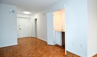 1300 CRYSTAL Dr 310-S, Arlington, VA 22202