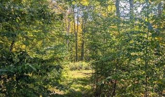 237 Halls Pond Rd, Charlestown, NH 03603