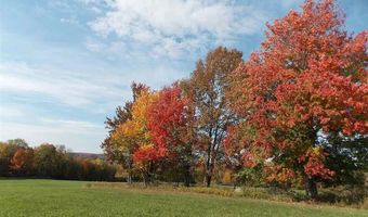 Menges Road, Youngsville, NY 12791