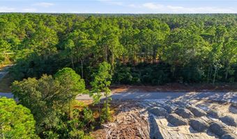 2428 Mabry St, Alva, FL 33920