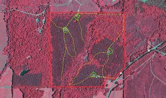 Hwy 9, Bruce, MS 38915