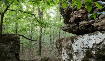 Whiskey Creek Lane, Batesville, AR 72501