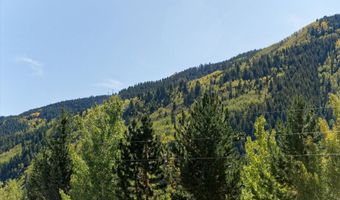 39 Roaring Fork Dr, Aspen, CO 81611