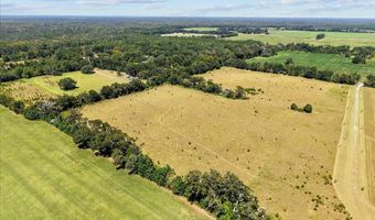 232 344 County Road 344, Bell, FL 32619