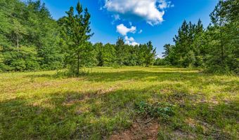 Harry Priddy Road, Americus, GA 31719