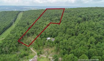 12 34 Acres BEARFOOT Rd, Accident, MD 21520