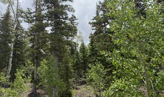 429 N Aoki Michi Rd, Brian Head, UT 84719