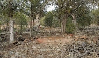 Terry Lane, Ash Fork, AZ 86046