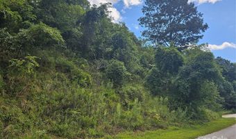 97 Destination Dr, Asheville, NC 28806