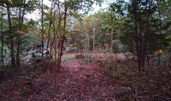 Happy Trails Lane lot 8, Appomattox, VA 24522