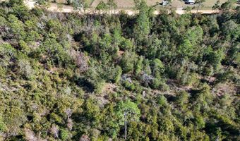 Monogahela Avenue, Alford, FL 32420