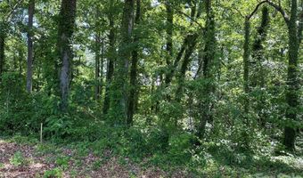 25 Oak Hill Dr 1, Asheville, NC 28806