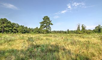 210 CR 2823, Alto, TX 75925